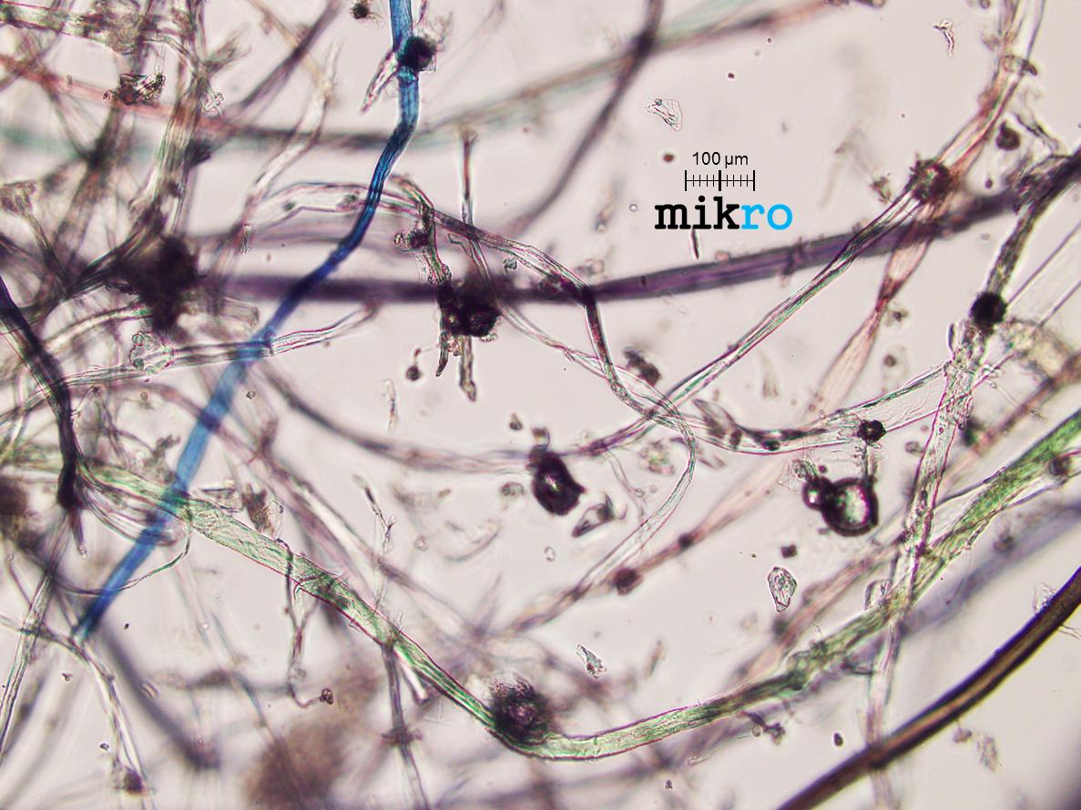 Haus Staub 214214 S1 10X