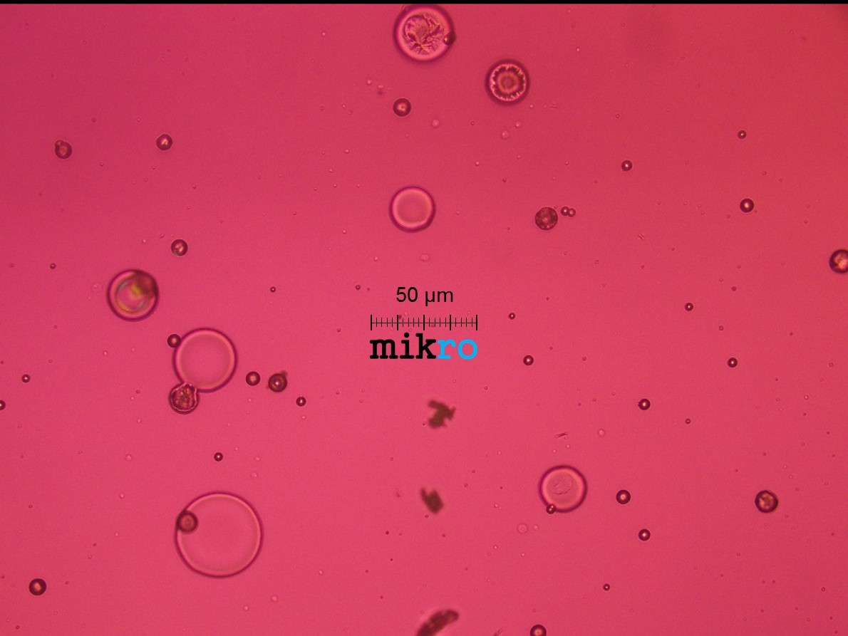 Haarspray Bellena 208088