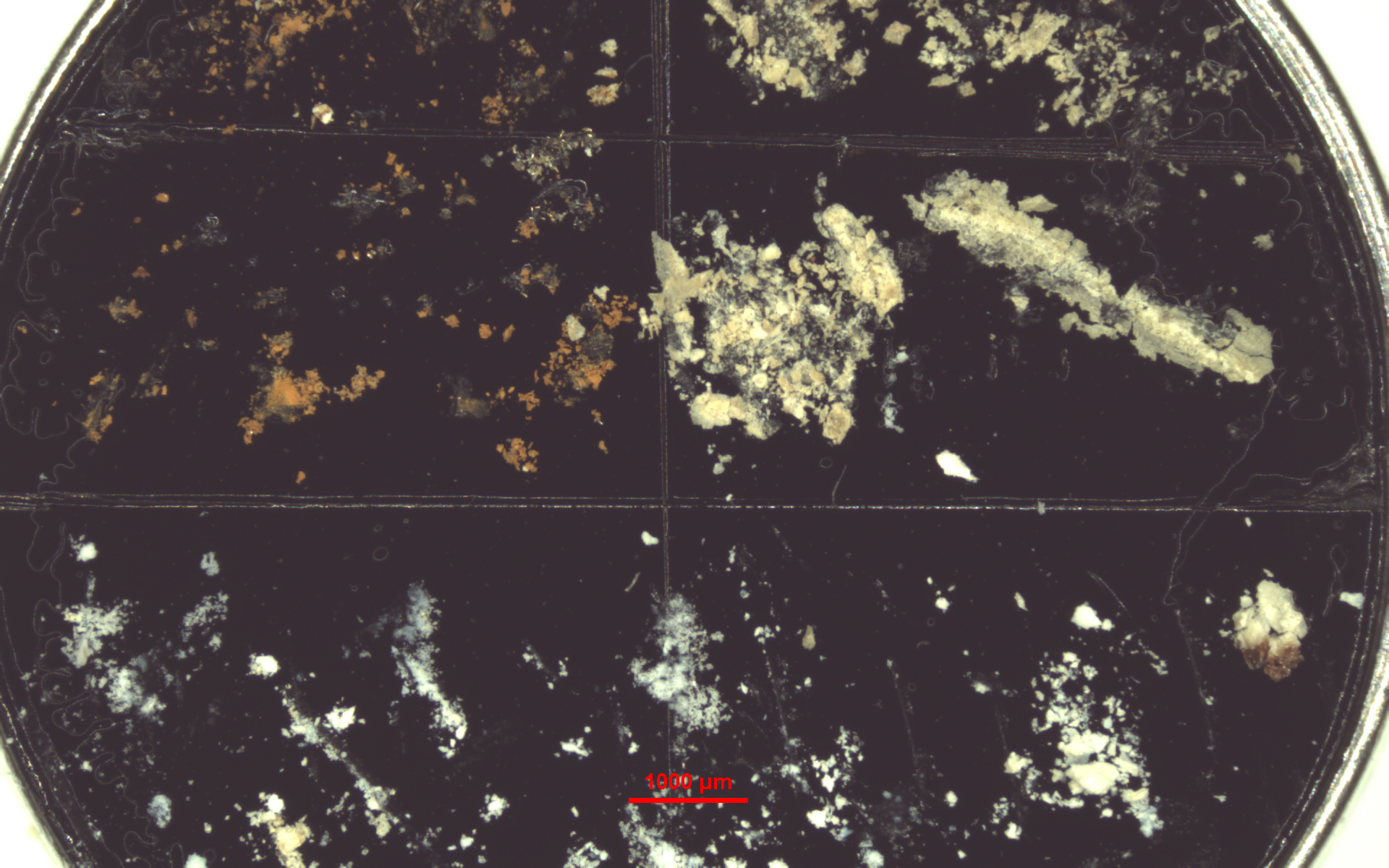 Probenhalter Mit Korrosionsprodukten 212325